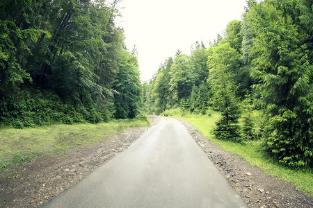 绿色山林中的道路图片