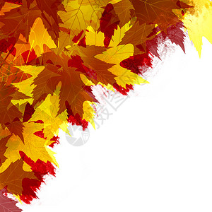 美丽明亮的秋叶自然背景图片