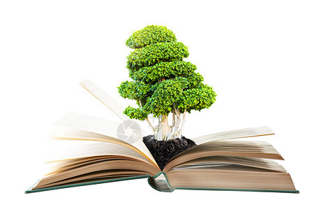 与绿色树的书在白色背景图片