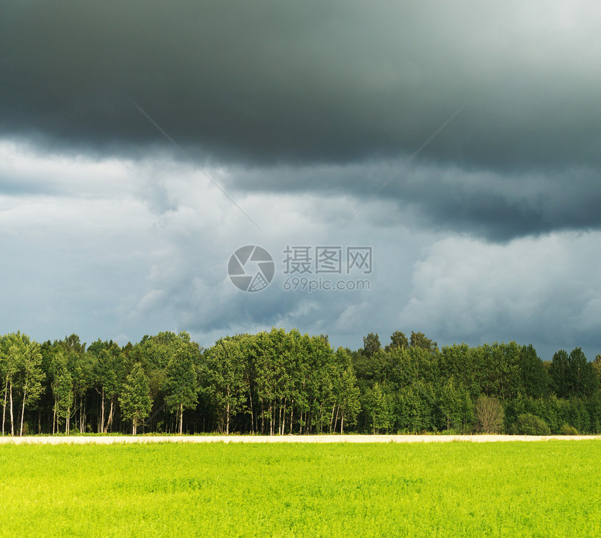 下雨前有暴风云的森林图片