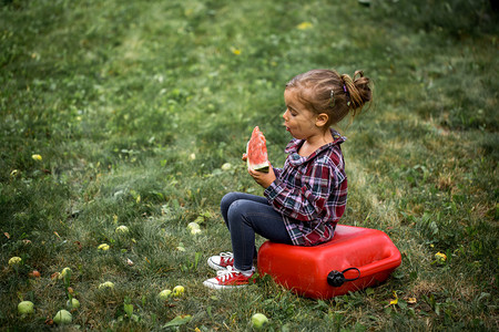 夏天吃西瓜的小女孩美丽的背图片