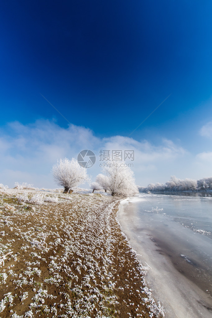 明亮的冬天风景图片