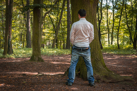 站着的人在秋林的大树旁高清图片