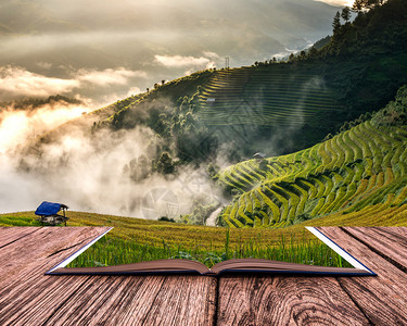 越南西北部延白省木仓柴区梯田上的稻田概念图图片