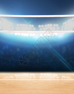 室内排球法院的A3D投影图片