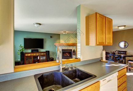 现代客厅室内绿色调取自厨房图片
