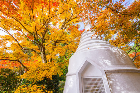 日本京都秋季纪念塔图片