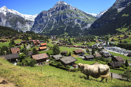 格林德瓦的瑞士山图片