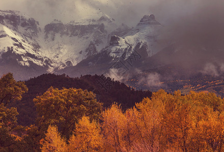 科罗拉多山美丽的秋天图片