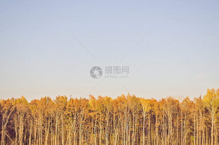 美丽秋天的自然背景蓝色天空的公园图片