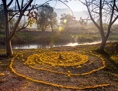 在太阳仪式的花瓣的帮助下在地面图片