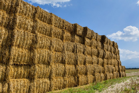 麦田干草堆大堆干草捆块堆成捆的图片