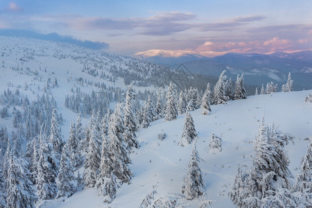 冬季风景下雪覆盖的图片