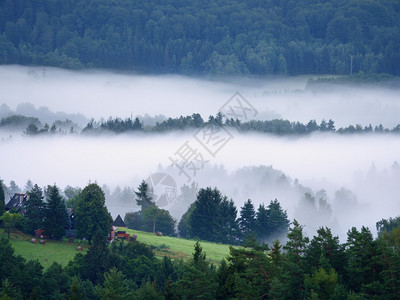 景观中的壮丽浓雾农村秋天的奶油雾山从雾中增加图片