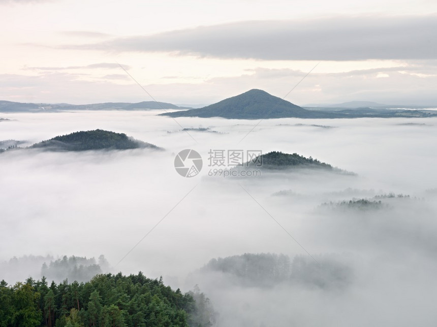 景观中的浓雾乡村壮丽的秋季奶油雾山从雾中增加图片