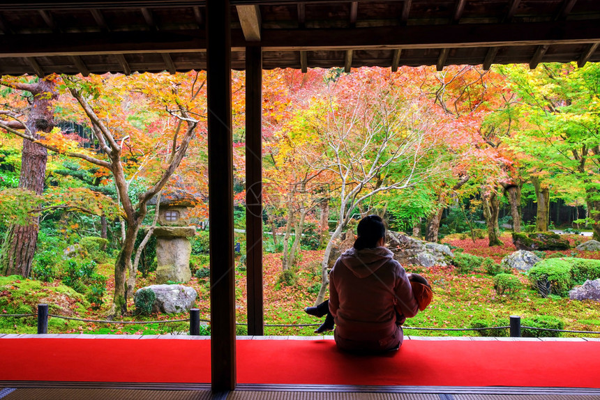 母亲和儿子在日本京都的Enkoji寺庙花园享受秋色这里是RinzaiZen区图片