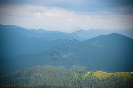 乌克兰喀尔巴阡山脉自然保护区山坡上的图片