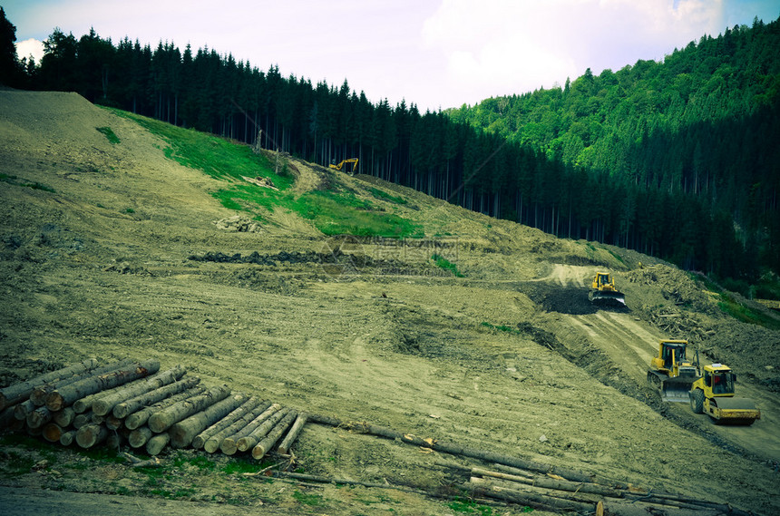 砍伐森林的环境问题图片