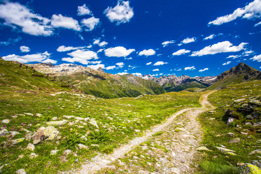 通往瑞士阿尔卑斯山的通道位于瑞士格劳本登Grison伯尼纳帕斯顶端图片