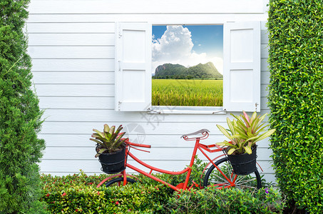 以自行车和窗户装饰园艺图片