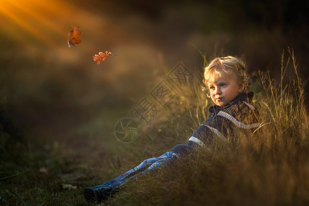 男孩在秋天或春天的风景图片