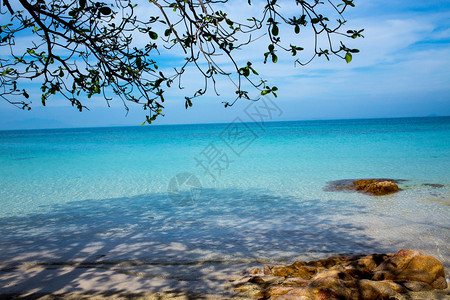 沙滩和绿海的影子树泰国图片