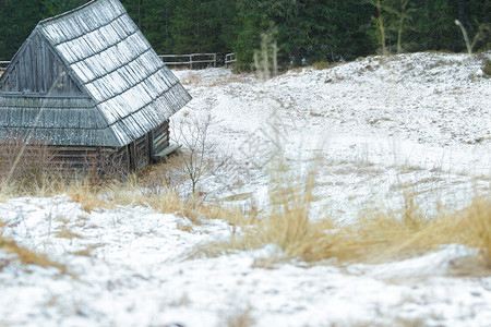 冬季雪景与传统小木屋和针叶林摇晃屋顶图片