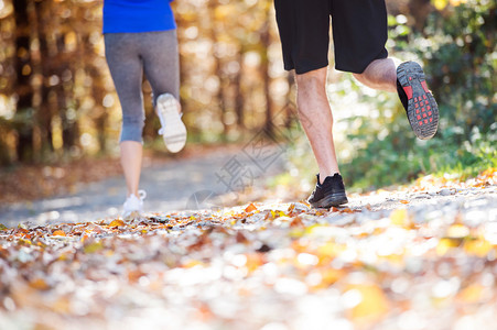 在阳光明媚的秋天森林里跑步者的腿一起跑来图片