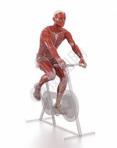 健身和健身概念男子在体操自行车上锻炼图片