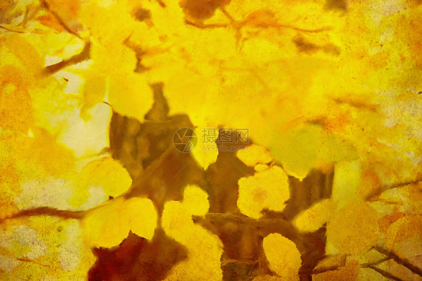黄色和金色图画的秋叶油漆黄色和金色图片