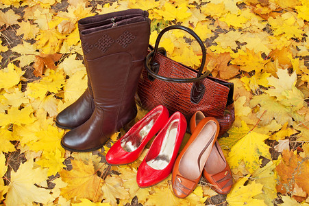 有秋叶的皮鞋和靴子鞋子和包收藏销图片