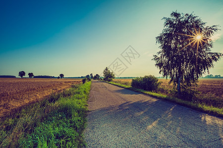 夏季风景和田野沥青路的古老照片光亮农图片