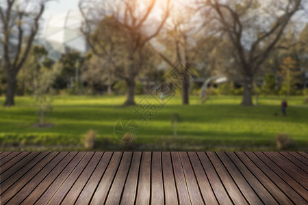 木地板与自然公园背景和夏季的模糊树木背景图片