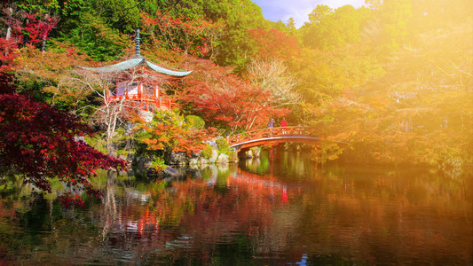 在日本京都秋天阳光照耀着大地寺图片