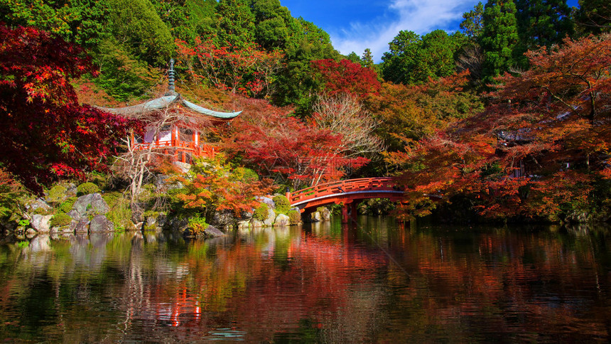 日本京都秋天戴高吉寺图片