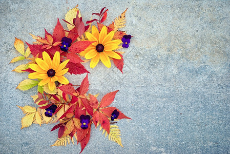 秋季树叶和花朵的字母c或半圆形边框背景图片