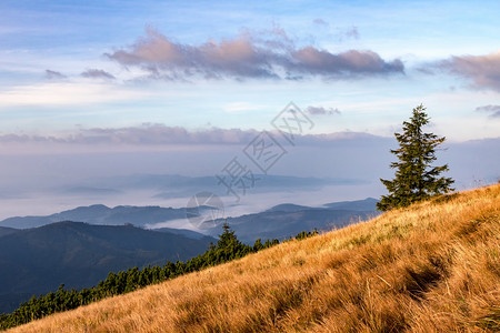 云层之上的秋山早晨图片