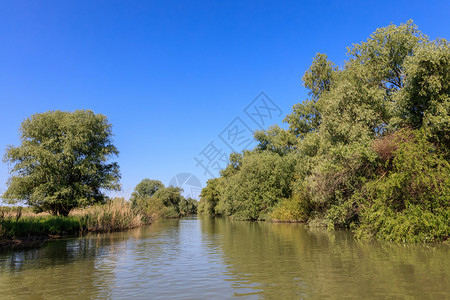 罗马尼亚多瑙河三角洲美图片