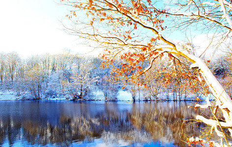 冬天风景中结霜的树木冰冻的树木和湖图片