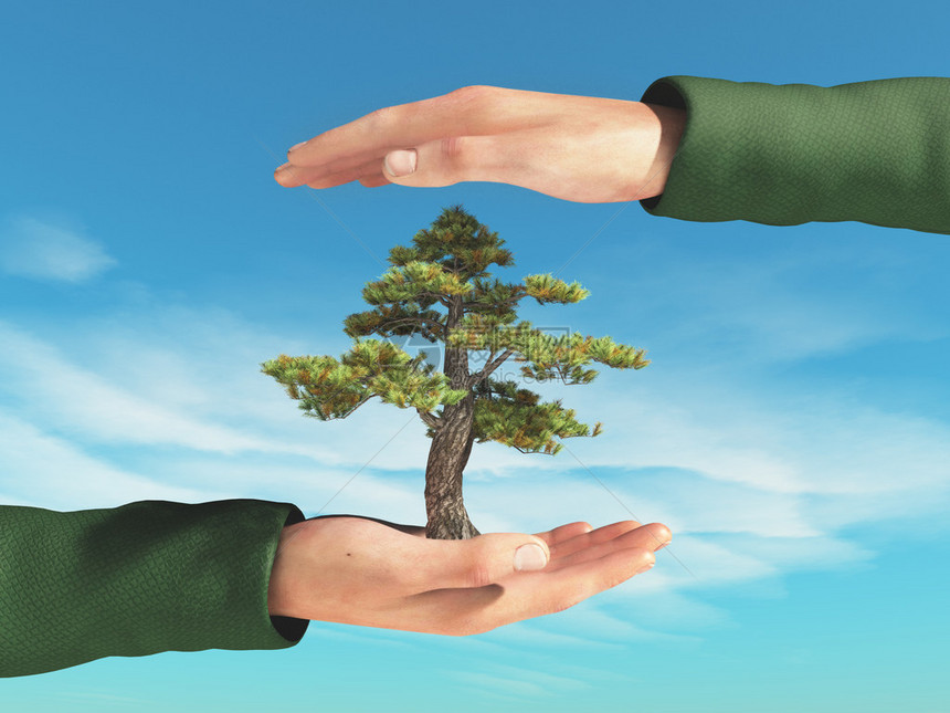 保护森林手握树木生态概念这是3图片