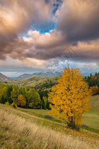 在山的秋天全景在日落图片