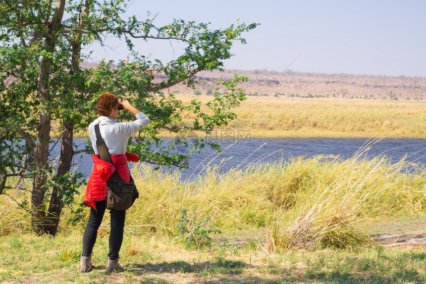 游客在非洲纳米比亚博茨瓦纳边境的乔贝河上用双筒望远镜观看野生动物图片