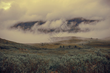 多云的挪威风景挪威自然奇观图片