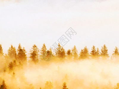 山上红烟雾林图片