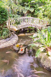 泰国花园人造河流和小桥上的图片