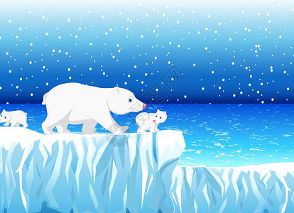 雪山背景的北极熊家族插画图片