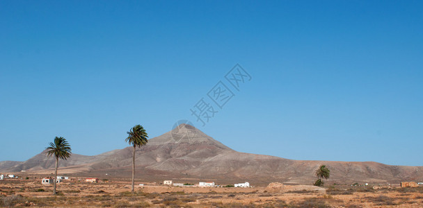 棕榈树白色房屋和沙漠和火星景观的鸟瞰图图片