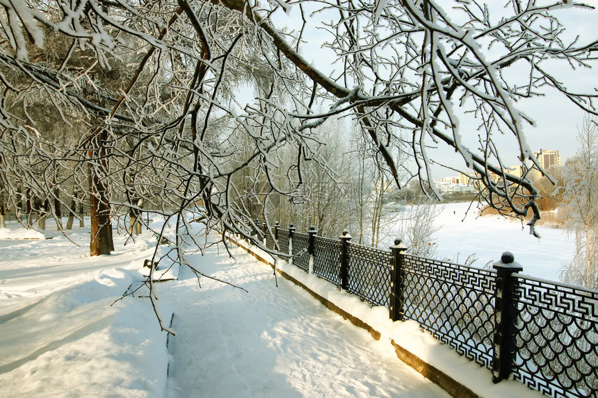 冬季雪园露户外自然栅栏覆图片