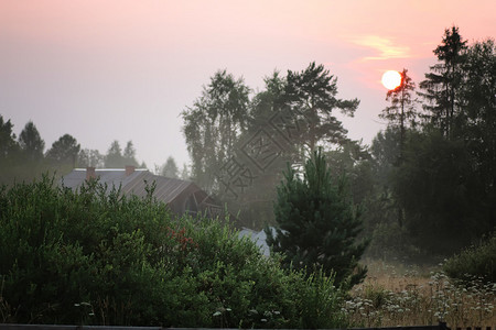 村庄夏天的自然日落树图片