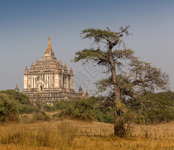 缅甸蒲甘的梅尼古庙图片